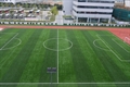 Soccer field