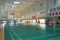 Badminton room